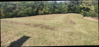 Heu Kleinballen 2025