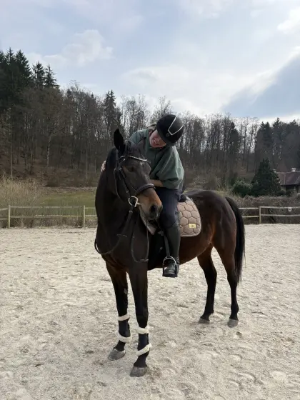 Suche Pflege/Reitbeteiligung