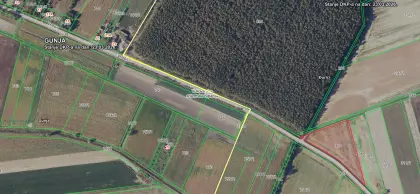 Attraktives landwirtschaftliches Grundstück Gunja (Kroatien)