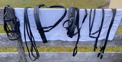 Shetty-Brustblattgeschirr