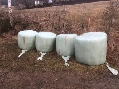 Heulage- und Siloballen zu verkaufen