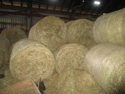 Verkauf Heurundballen