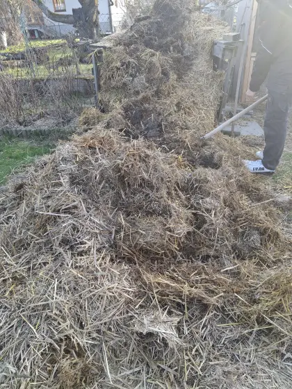 Hasenmist zu verschenken