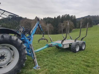 Moser Kran mit Eigenbau Rungenwagen