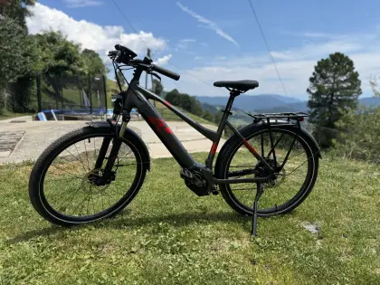 E-Bike Raymon Tourray E 6.0 NEU