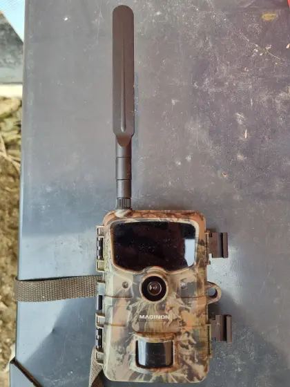Wildkamera 4G Maginon