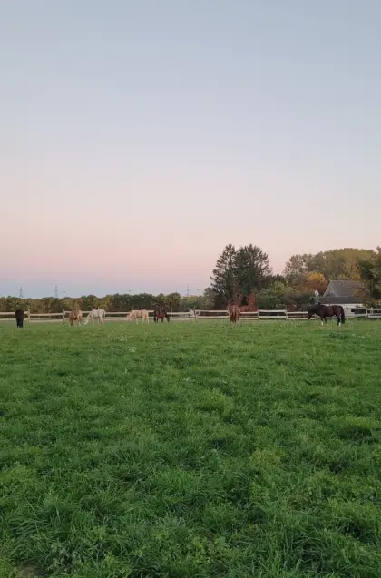 Einstellplatz in einem Naturparadies