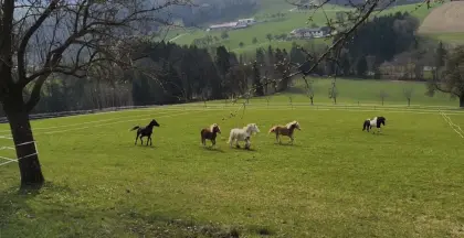 Einstellplätze frei