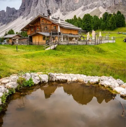 Suche Almplatz für eine Ponystute und einen Zwergeselhengst