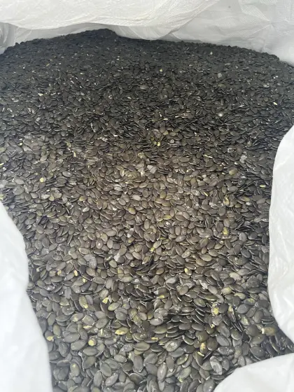 Bio Kürbiskerne - Backware