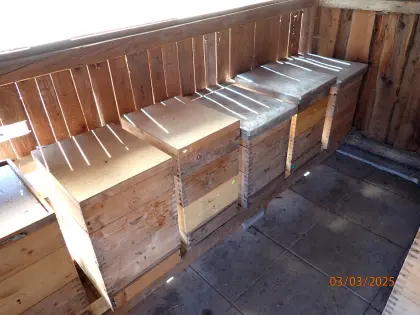 Bienenvölker auf Flachzarge