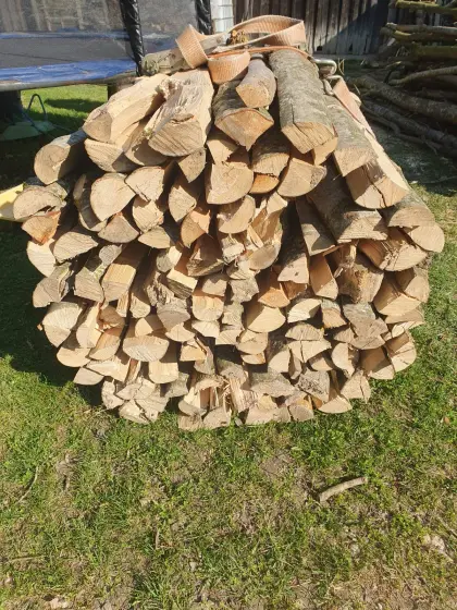 Brennholz hart