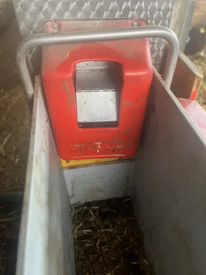 Kälbertränk Automat