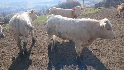 Bio Einsteller Fresser