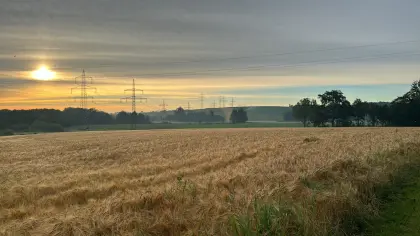 Suche Pachtflächen in der Umgebung