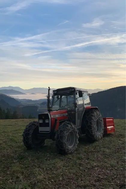 Massey Ferguson 382 inkl. Frontlader