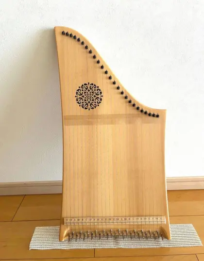 Veeh-Harfe Edelweiss M-25 mit Zubehör