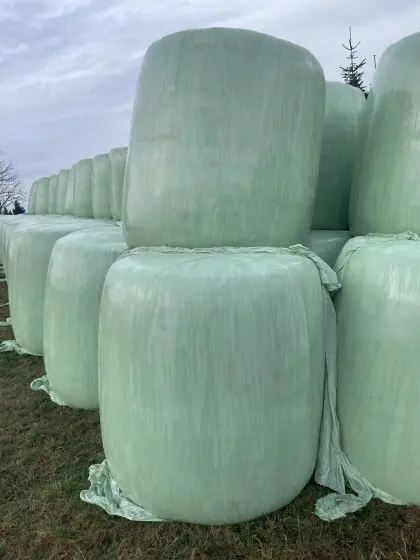 Maissilageballen