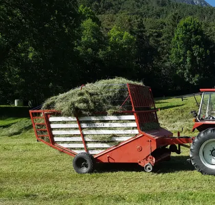 Pöttinger LW 10 Bergladewagen