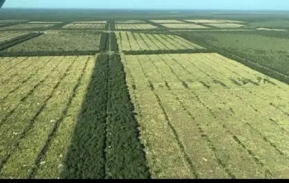 Investitionsoase im Herzen Südamerikas: 12500 Ha.