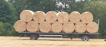 Stroh in Rundballen 1,6 m Dm.