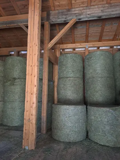 Bio Heuballen 1. Schnitt