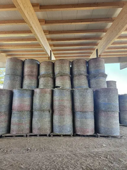 HEU Ernte 2025 TOP Pferdeheu 1. und 2. Schnitt Heuballen