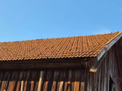 Alte Falzziegel - große Menge - Selbstabbau