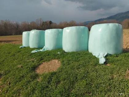 Silageballen