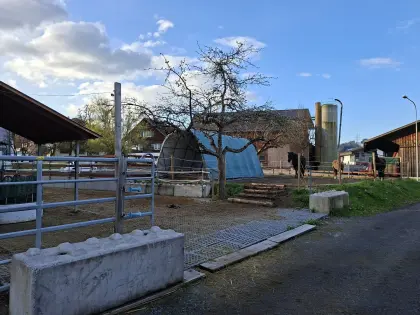 Einstellplatz in Offenstall