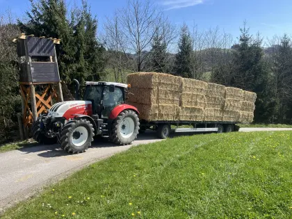Verkaufe Stroh