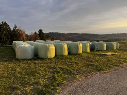 Siloballen 3. und 4. Schnitt 2025