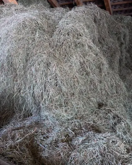 Heu lose zu verschenken