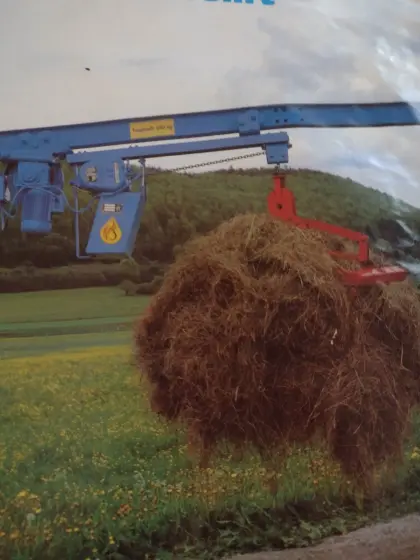 Ich suche, kaufe Heukran, Einschienenkran