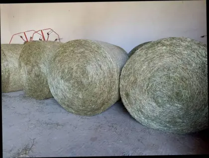 Pferdeheu in Rundballen