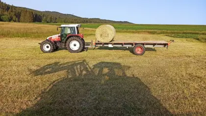 Heu 1. Schnitt, div. Fläche