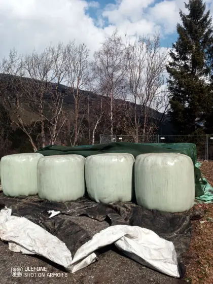 Siloballen
