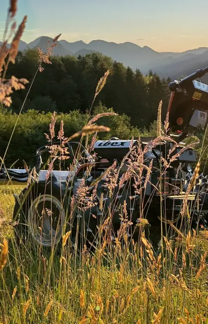Suchen Landwirtschaft in Steyr Land