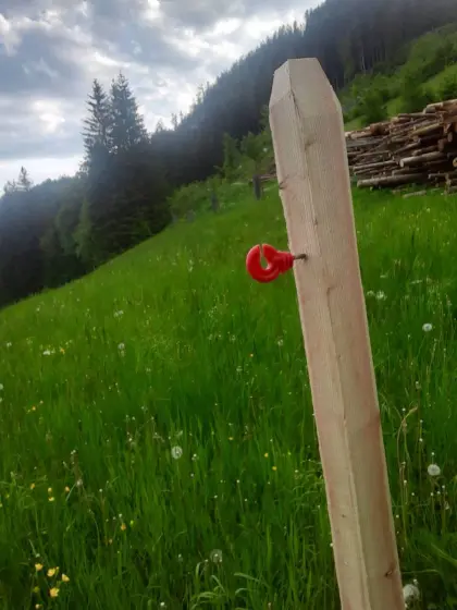 Weidezaunpfahl, Weidezaun, Lärche