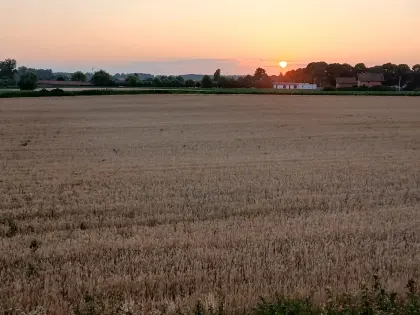 Attraktives landwirtschaftliches Grundstück Gunja (Kroatien)