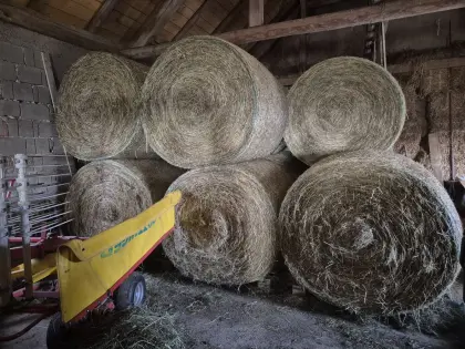 Bio-Heu Rundballen