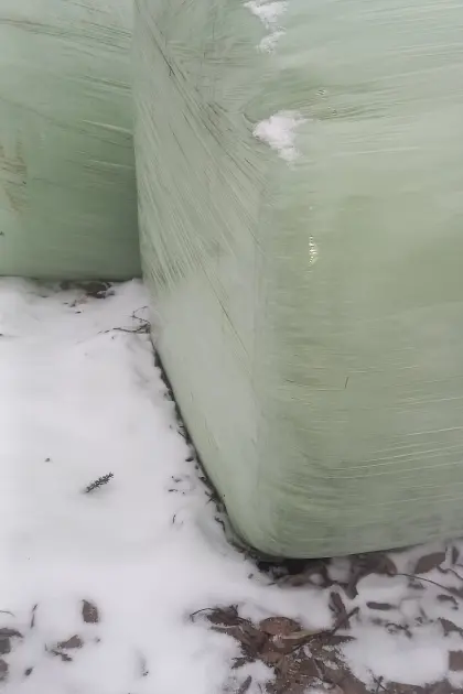 Siloballen Kleegras