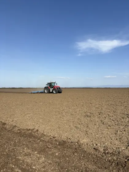 350 ha bestes Ackerland in Westrumänien