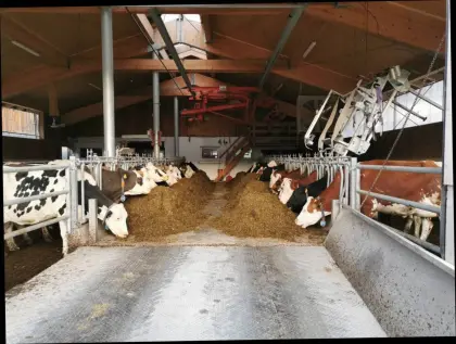 Suche Aufzuchtbetrieb