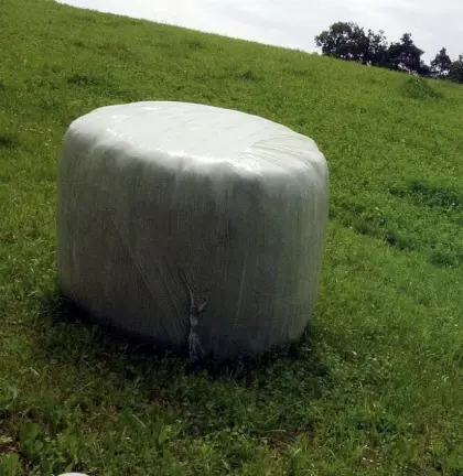 Siloballen 1. Schnitt 2025