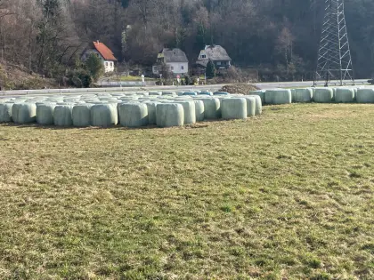Siloballen zu verkaufen!