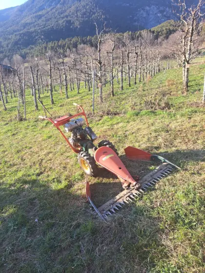 Reform 158 Motormäher