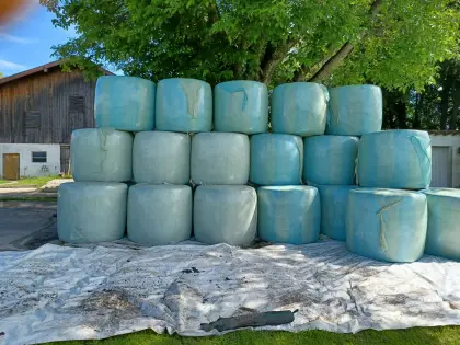 Silageballen zu verkaufen