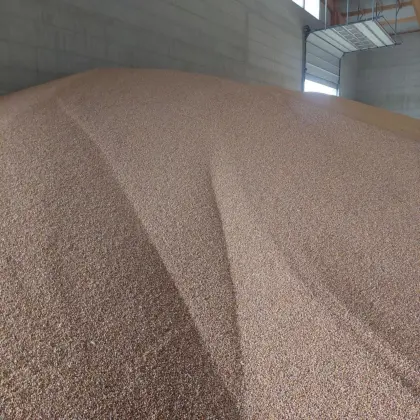 Verkaufe Trockenmais