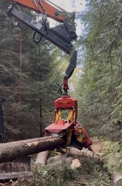 Harvester Aggregat Woody 50-1